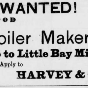 Wanted Boiler Maker